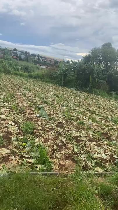 Đất sào tại Suối Thông C, Đơn Dương, Lâm Đồng 4662m² giá 3.5 tỷ - Nhà cấp 4 mới đẹp, tiện nghi!