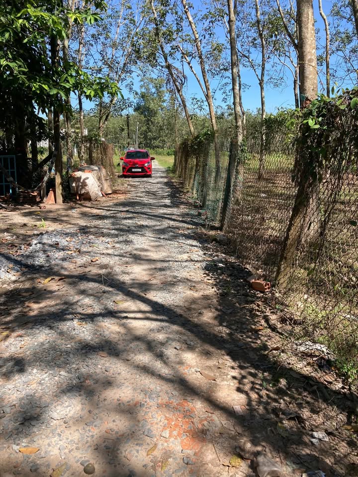 Đất thổ cư Thạnh Đức Gò Dầu 150m² giá 620 triệu - Sổ hồng chính chủ