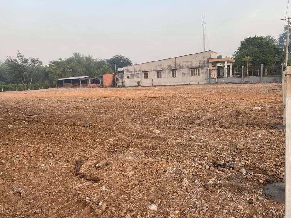 Cho thuê kho xưởng 1964m² mặt tiền Trần Văn Chẩm - Giá thỏa thuận hấp dẫn!