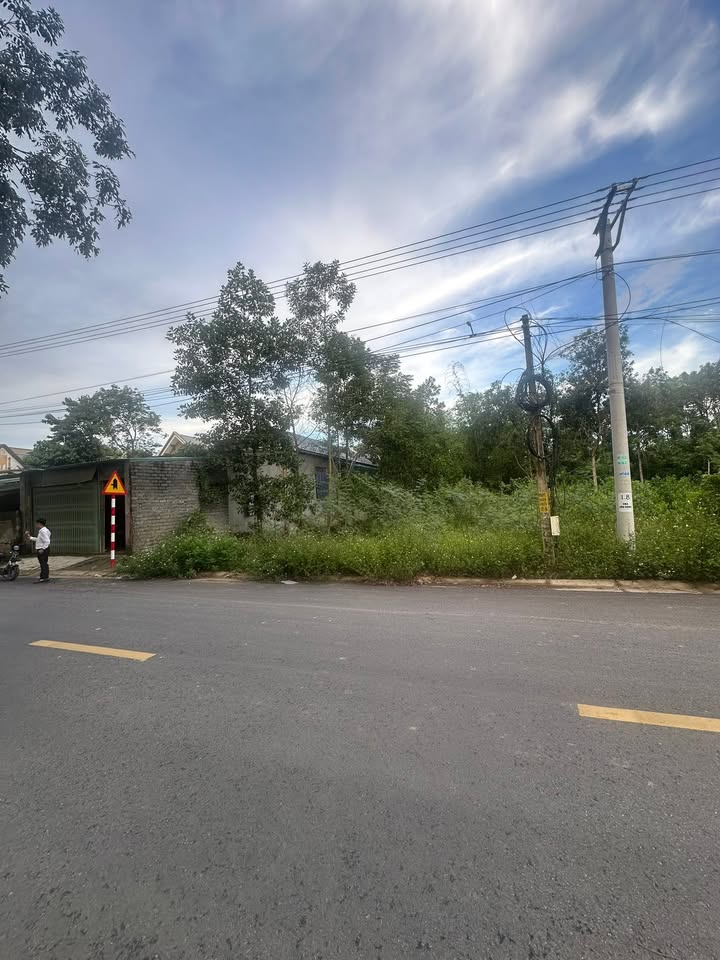 Đất nền Yên Tâm, Yên Định 236m² chỉ 600 triệu - Cơ hội đầu tư tuyệt vời!