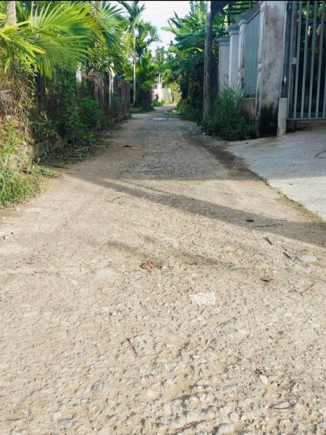 Đất vườn Tư Nghĩa 339m² giá thỏa thuận - Gần chợ Điện An