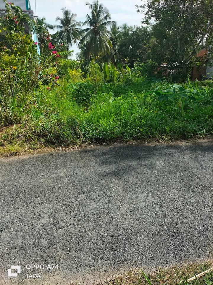 Đất nền Quới An, Vũng Liêm 2000m² giá 1 tỷ - Đường nhựa ô tô, điện nước đầy đủ!