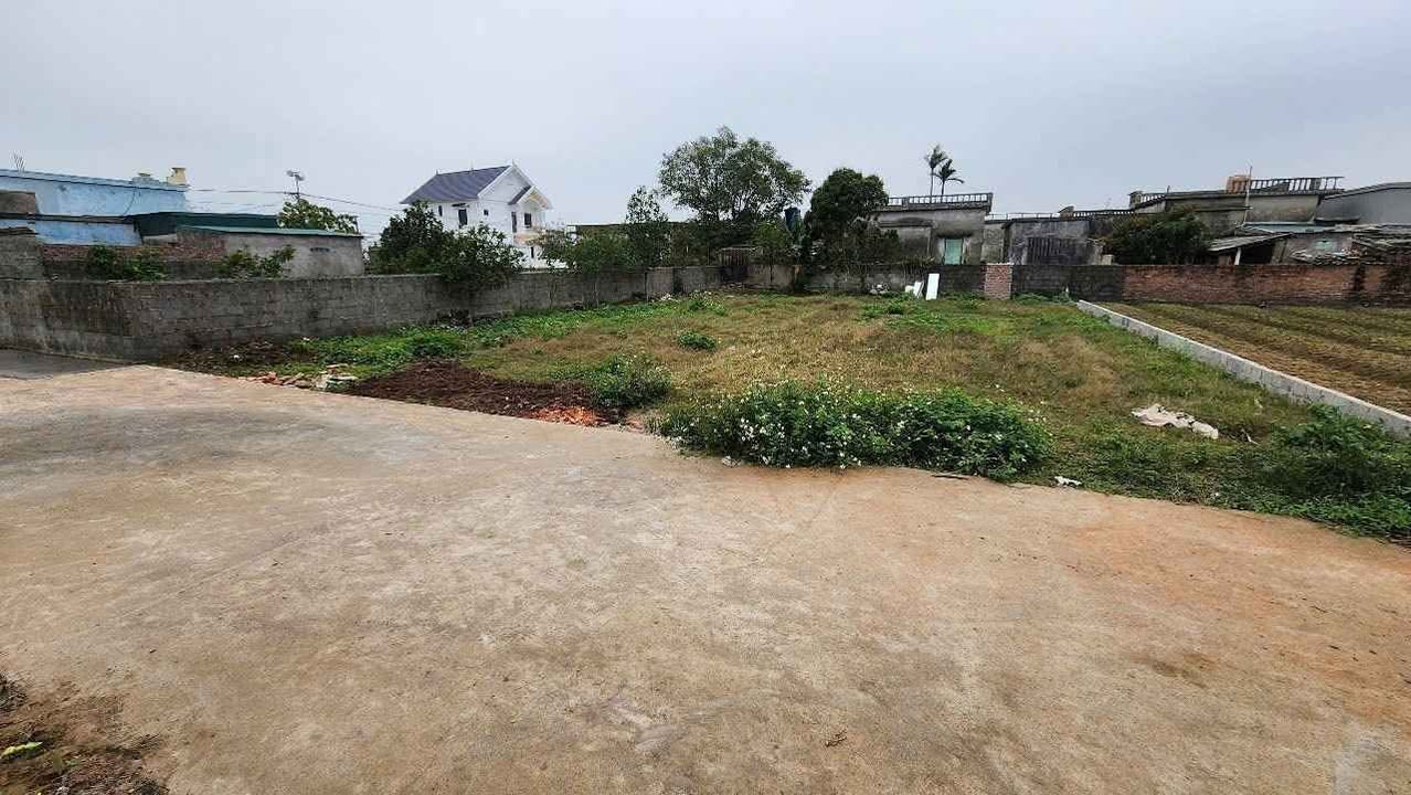 Đất nền thổ cư tại thôn Hải Long, Tiền Hải, 159m² giá chỉ 650 triệu - Đầu tư sinh lời ngay!