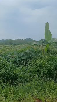 Đất nền xã Quảng Thành, Châu Đức 23,400m² - Đường nhựa sắp hoàn thiện!