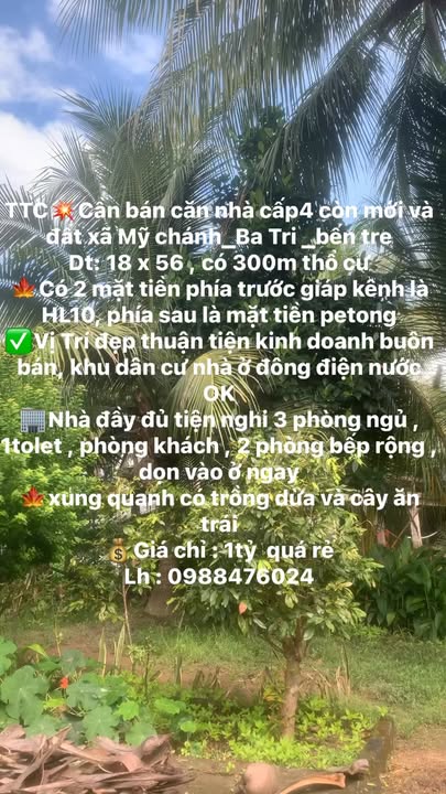 Nhà cấp 4 tại xã Mỹ Chánh, Ba Tri, Bến Tre 1008m² giá chỉ 1 tỷ - Đầu tư sinh lời tuyệt vời!