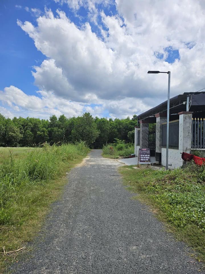 Đất nền Tân Biên Tây Ninh 340m² giá 2.21 tỷ - Vị trí đẹp, khu dân cư sầm uất!