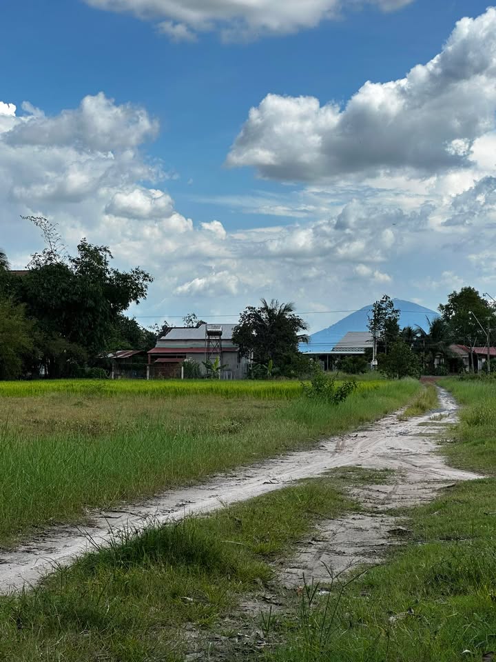 Đất nền Thạnh Bình, Tân Biên, Tây Ninh 225m² giá 130 triệu - Sổ đỏ chính chủ, pháp lý rõ ràng!