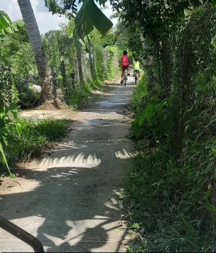 Đất mặt tiền Phú An, Cai Lậy 392m² giá chỉ 750 triệu - Cơ hội đầu tư không thể bỏ lỡ!