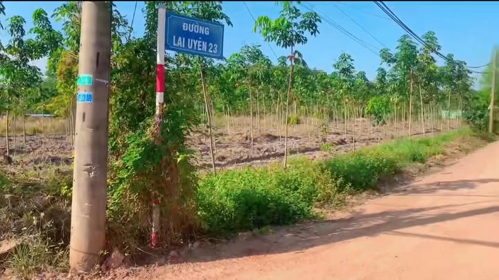 Đất nền Lai Uyên, Bàu Bàng 390m² giá 1.5 tỷ - Đầu tư sinh lời ngay!