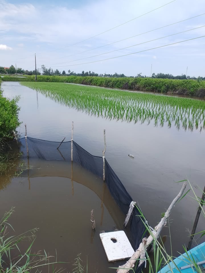 Đất nền An Minh Kiên Giang 2349m² giá 1.1 tỷ - Cơ hội đầu tư tuyệt vời!