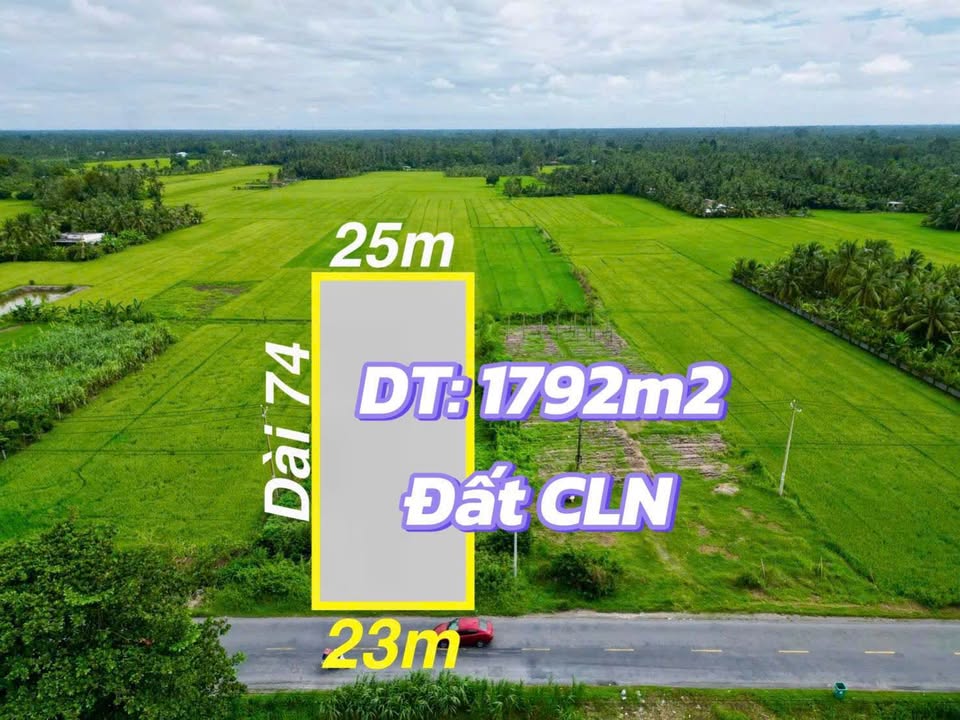 Đất mặt tiền Quốc Lộ 53, xã Tân Long Hội, 1792m² giá chỉ 4 tỷ - Đầu tư sinh lời cao!