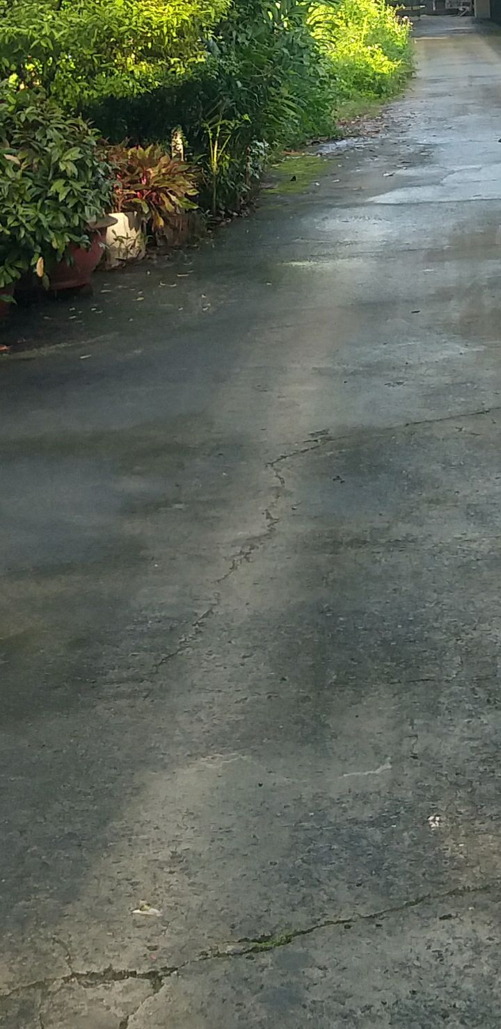 Đất nền Bình Nhâm, Thuận An 2894m² - Cơ hội đầu tư sinh lời!