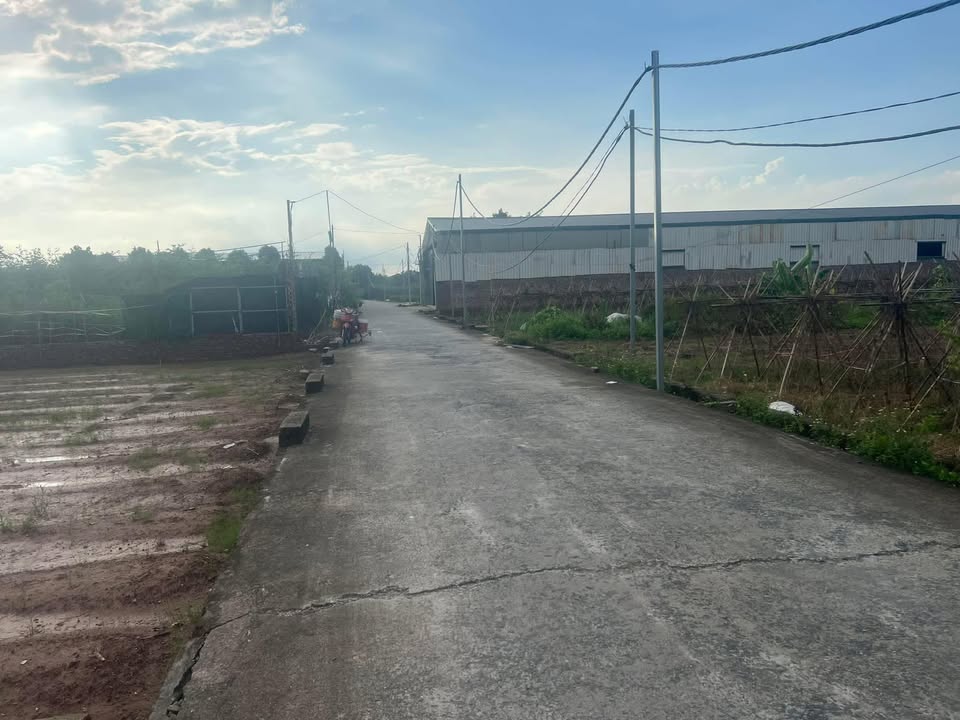 Đất 1500m² tại Song Phương, Hoài Đức - Tiềm năng phát triển kinh doanh