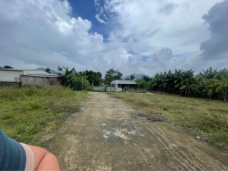 Đất chính chủ Hòa Khánh 124m² giá 1.2 tỷ - Đầu tư sinh lời ngay!