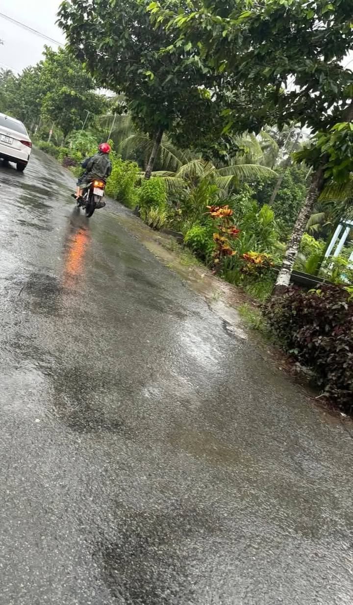 Đất nền 4.000m² tại Huyền Hội, Càng Long - Giá chỉ 215 triệu, thương lượng ngay!