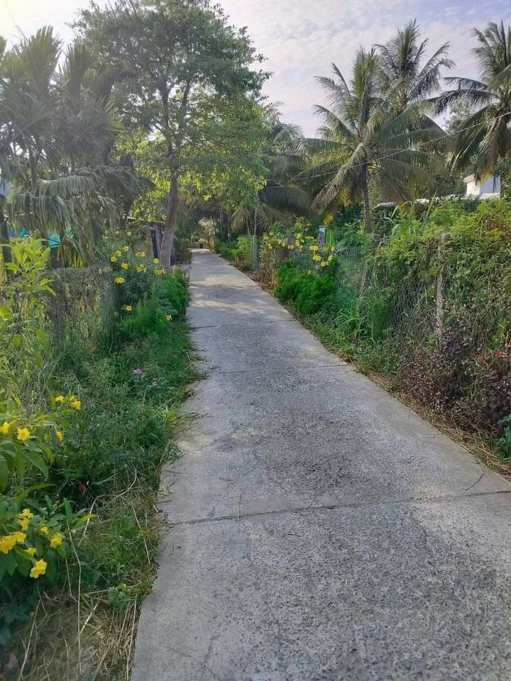 Đất 2 mặt tiền đường Đức Hiệp, Càng Long, Trà Vinh 607m² - Giá chỉ 550 triệu, thương lượng tốt!