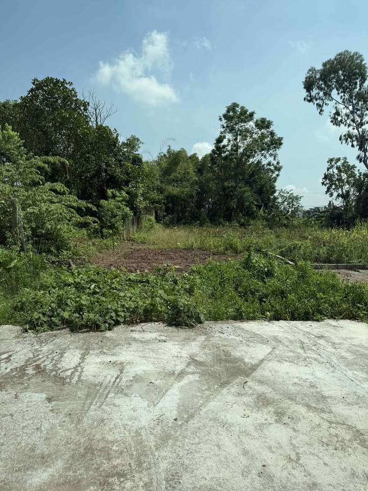 Đất thổ cư Thượng Điền, xã Tam Quang, 80m² - Giá thỏa thuận, cơ hội đầu tư hấp dẫn!