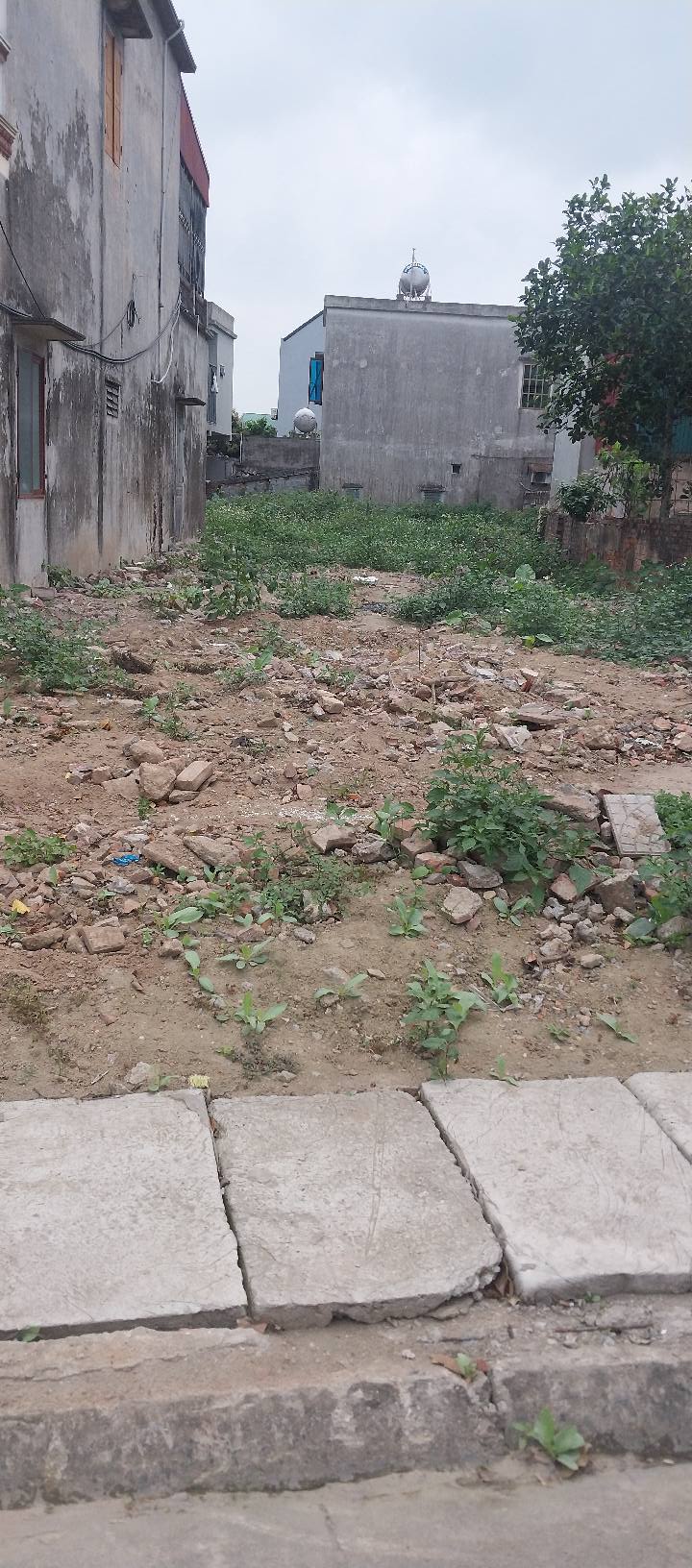 Đất mặt đường Nguyễn Trãi Vũ Thư 286m² - Chính chủ bán gấp!