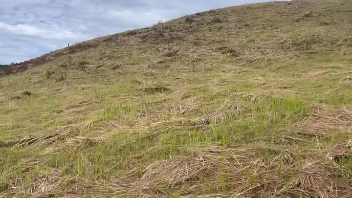 Đất trống 2ha Đắk Ha, Đắk Glong chỉ 890 triệu - Cơ hội đầu tư sinh lời!