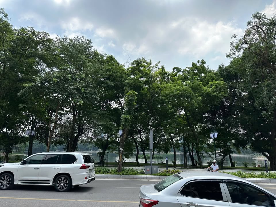 Nhà mặt phố Lê Duẩn, quận Hai Bà Trưng 52m² giá 7.9 tỷ - Kinh doanh đắc địa!