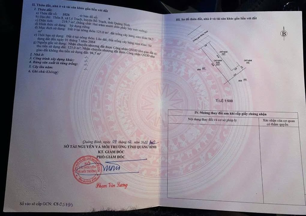 Đất nền Thôn 8 Lý Trạch 220m² giá 700 triệu - Mặt tiền đường Cựu Chiến Binh, đầu tư sinh lời!