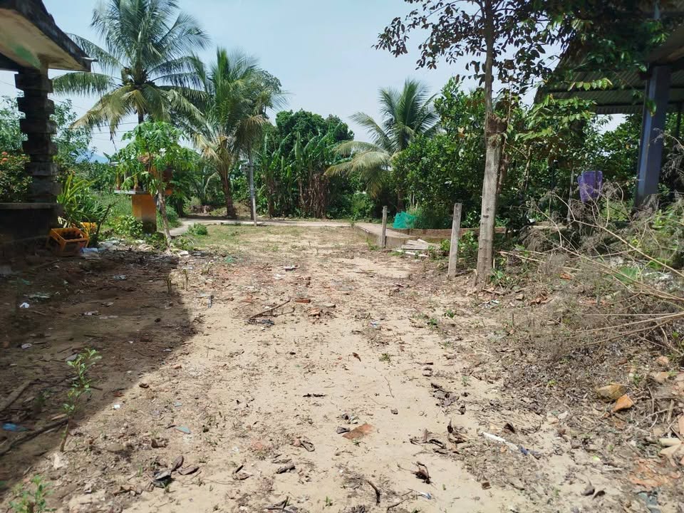 Đất nền Thạch Bồ Hòa Tiến 134m² giá 1.18 tỷ - Đầu tư tiềm năng!