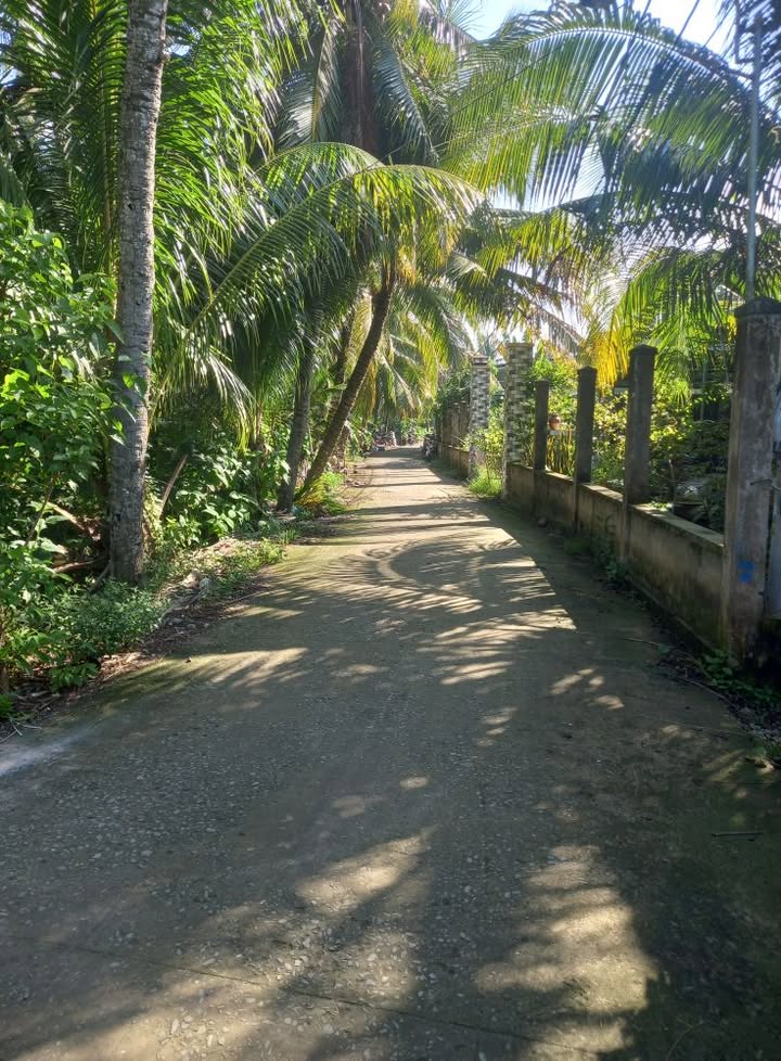 Đất nền ấp Quý Chánh 162m² giá chỉ 720 triệu - Sổ hồng bao giấy tờ!