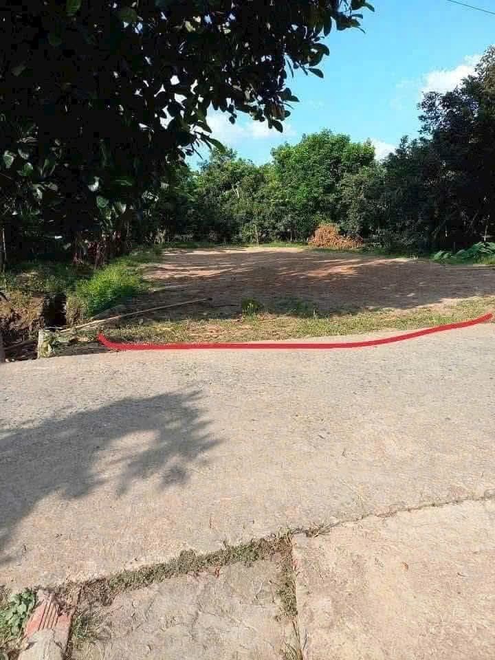 Đất nền Phú Phụng, Chợ Lách 240m² giá 370 triệu - Sổ đỏ chính chủ, sẵn sang tên ngay!