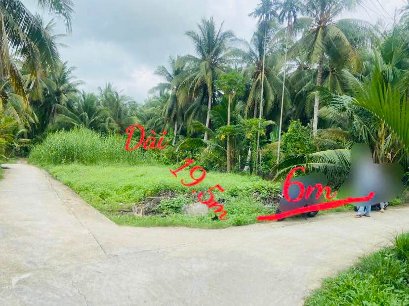 Đất nền Bến Tre 116m² giá chỉ 290 triệu - Cơ hội đầu tư tuyệt vời!