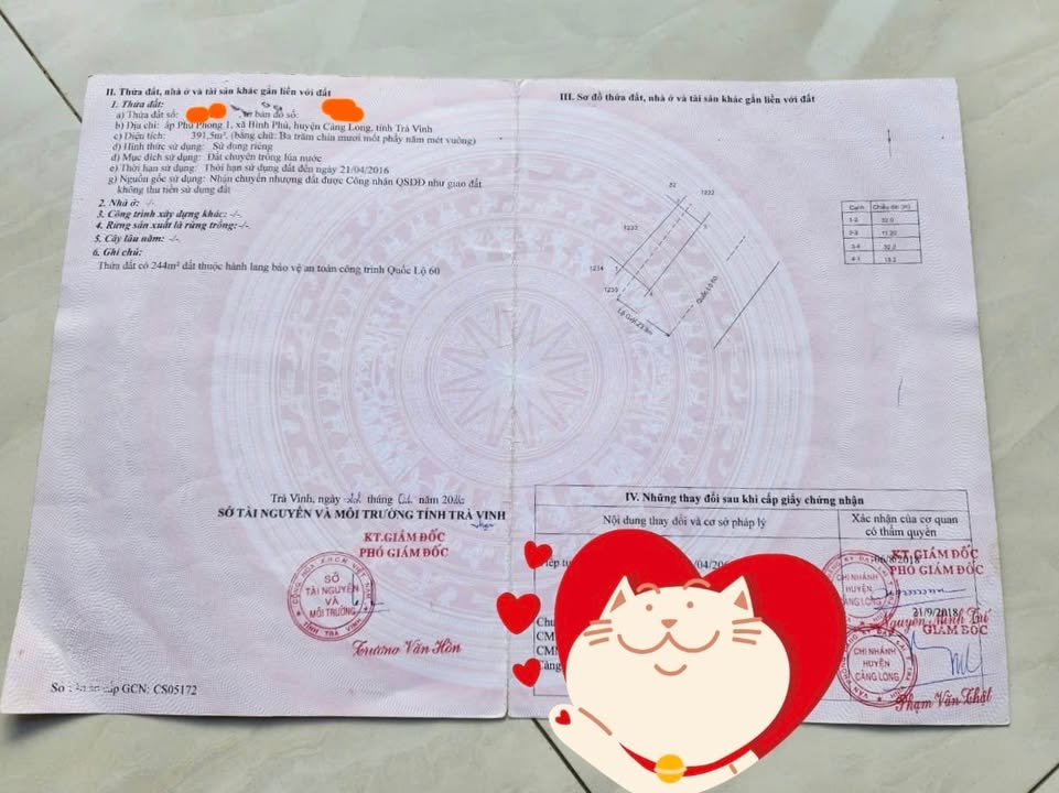 Đất 2 mặt tiền quốc lộ 60, xã Bình Phú, 3000m² - Giá chỉ 15.5 tỷ!