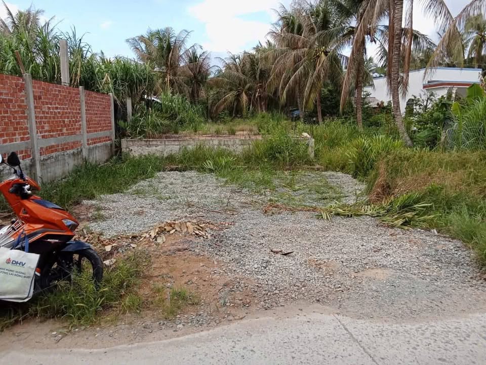 Lô đất 2863m² tại ấp Tân Viên, Bến Tre - Giá chỉ 945 triệu, đầu tư sinh lời!