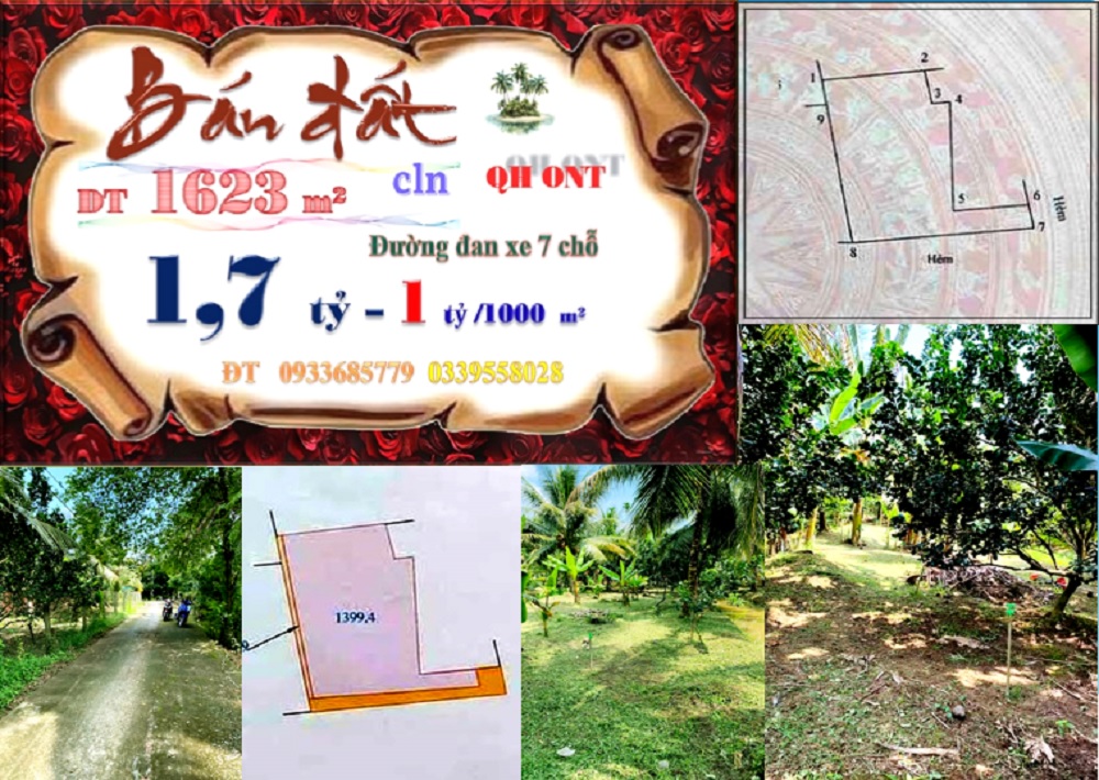 Đất nền Phú Túc, Châu Thành, Bến Tre 1623m² - Cơ hội đầu tư hấp dẫn!