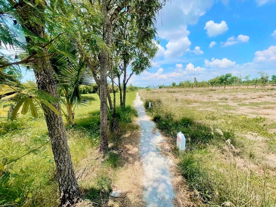 Đất nền Phước Trung Gò Công Đông 170m² giá chỉ 185 triệu - Cơ hội đầu tư hiếm có!