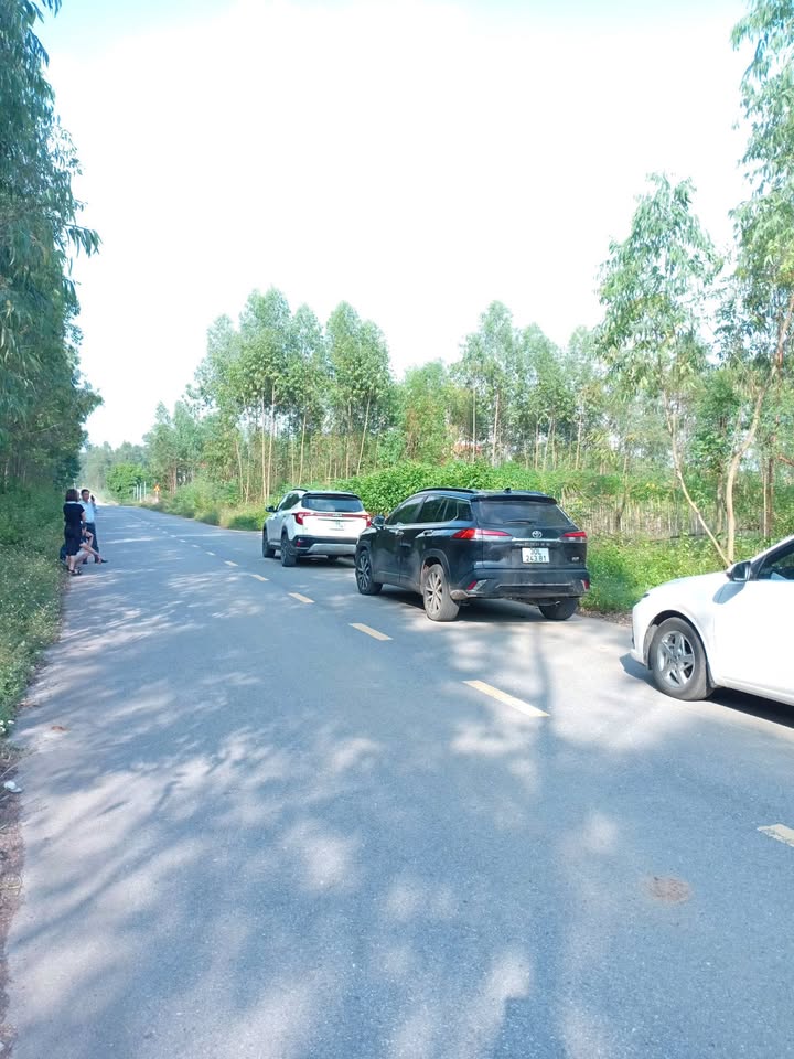 Đất thổ cư xã Thanh Đình, Việt Trì 165m² giá 1 tỷ - Cơ hội đầu tư tuyệt vời!