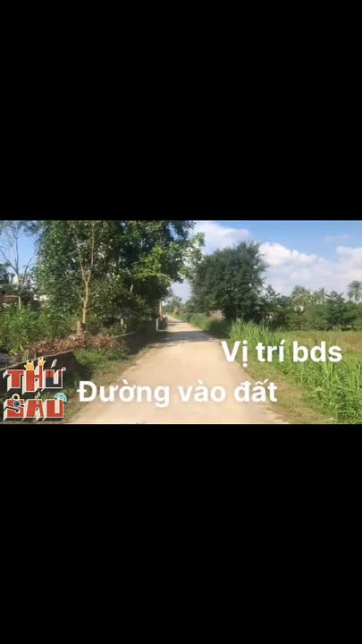 Đất nền Triệu Thành 125m² giá chỉ 1xx triệu - Đầu tư sinh lời ngay trung tâm!