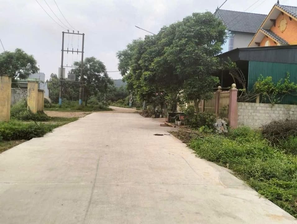 Đất nền Quảng Hợp, Quảng Xương 125m² giá 500 triệu - Đối diện sân bóng Ủy Ban!