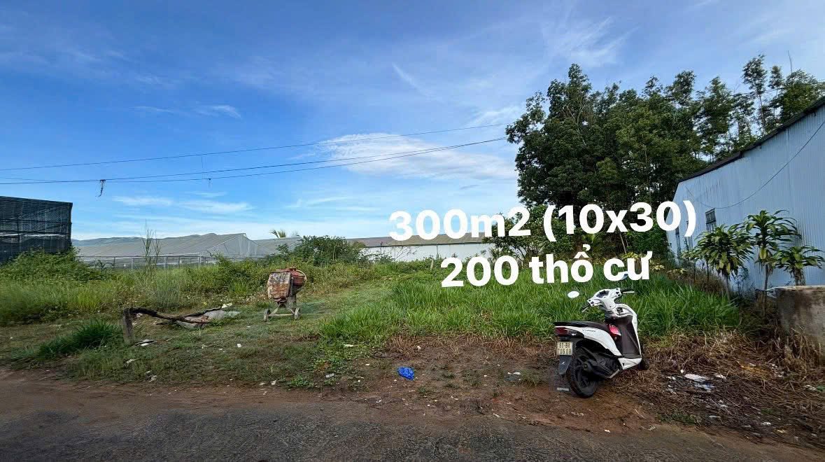 Đất thổ cư 300m² hẻm Ngô Tất Tố, Bảo Lộc - Chỉ 1.5 tỷ, cơ hội đầu tư tuyệt vời!