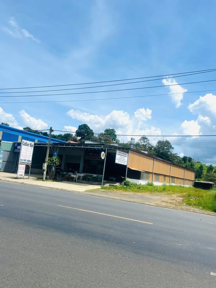 Đất Lộc Châu Bảo Lộc 5137m² giá 11 tỷ - Đầu tư sinh lời ngay!