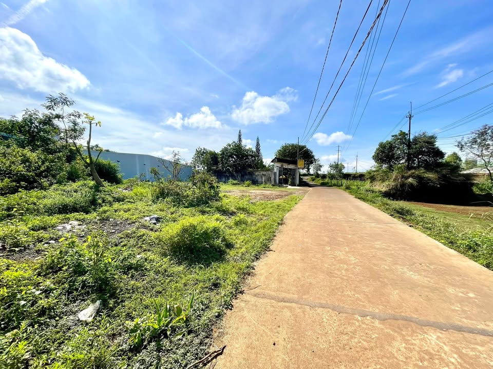 Đất nền Hẻm 441 Lý Thái Tổ, Pleiku 126m² giá chỉ 800 triệu - Đầu tư sinh lời ngay!