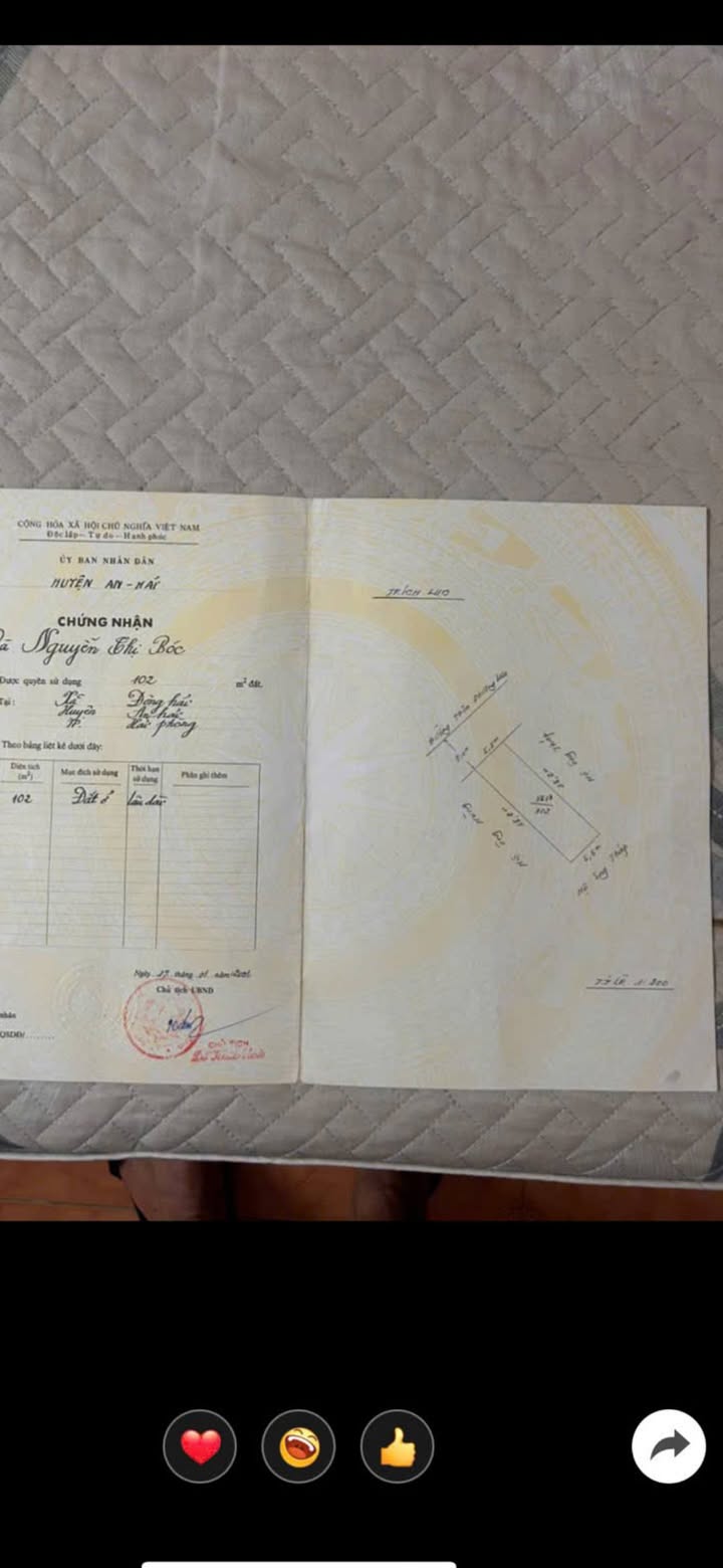 Đất Mặt Ngõ Ô Tô Tránh Tại Bùi Thị Từ Nhiên, Hải An, 102m² - Giá Chỉ 4.78 Tỷ!