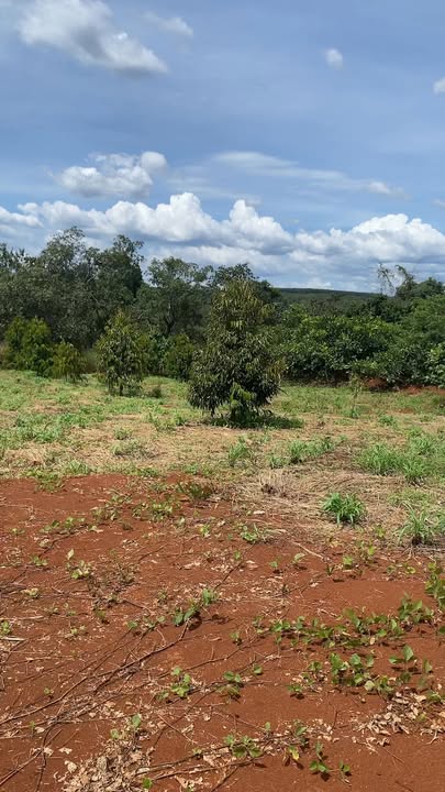 Đất nền 105m² Phước Tân giá 5 tỷ - Đầu tư sinh lời ngay!