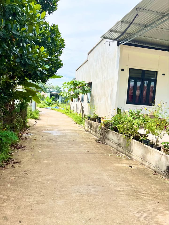 Đất nền Nghĩa Hành 122m² giá chỉ 300 triệu - Cơ hội sở hữu đất rẻ!