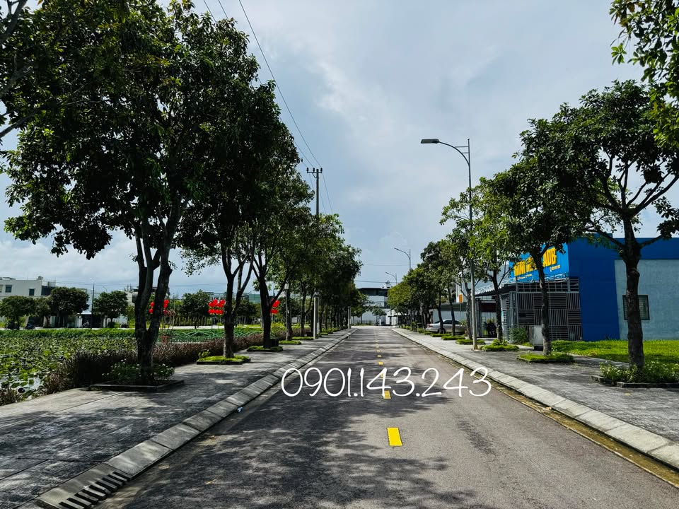 Đất nền mặt tiền đường Bùi Cẩm Hổ, Tam Kỳ 124m² giá 2 tỷ - Đầu tư sinh lời lý tưởng!
