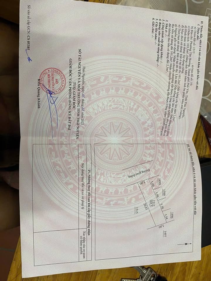 Lô đất đẹp Tân Hương, Phổ Yên 123,5m² chỉ 700 triệu - Đầu tư sinh lời ngay!