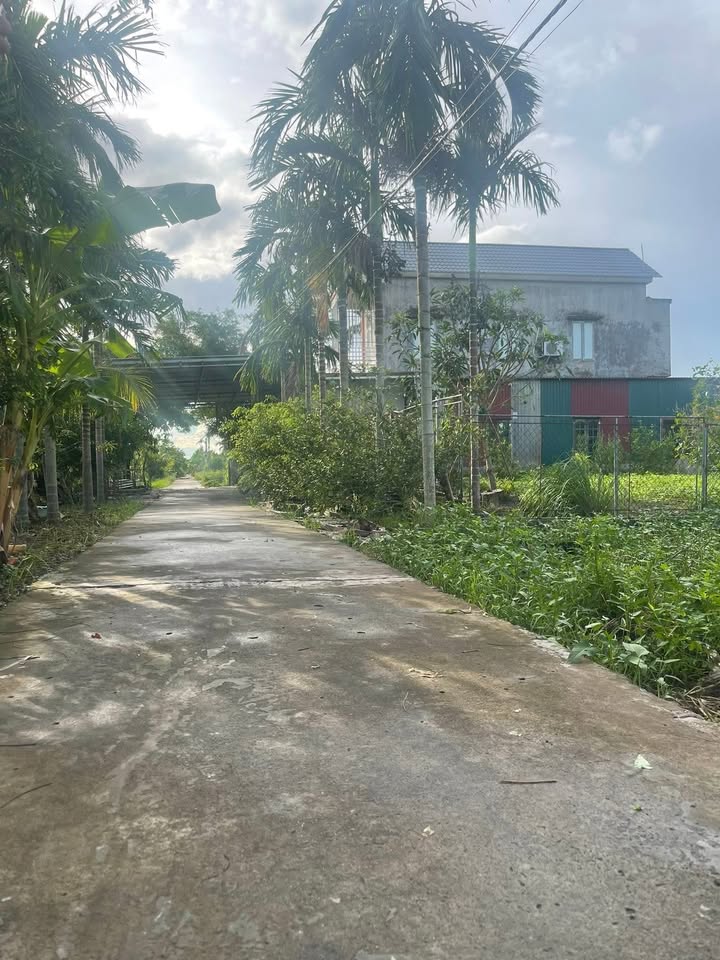 Đất thổ cư xã Hải Phú 149m² giá 450 triệu - Vị trí giao thông thuận tiện!