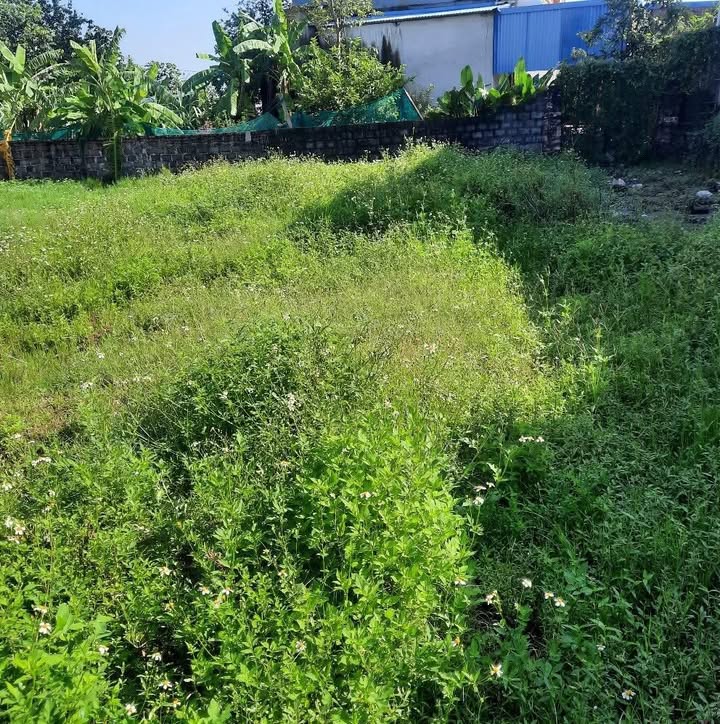 Đất nền Yên Nhuế, Thuận Thành 73m² giá chỉ 1.5 tỷ - Tiềm năng sinh lời cao!