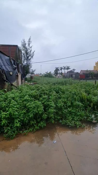 Đất thổ cư 400m² xã Nam Điền giá 3 tỷ - Vị trí siêu tiềm năng gần KCN!