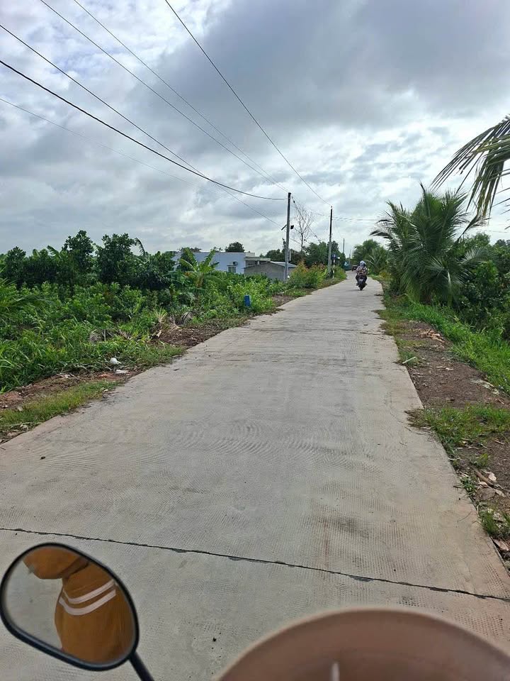 Đất trồng cây Thạnh Lợi Bến Lức 4668m² giá 3.85 tỷ - Cơ hội đầu tư hấp dẫn!