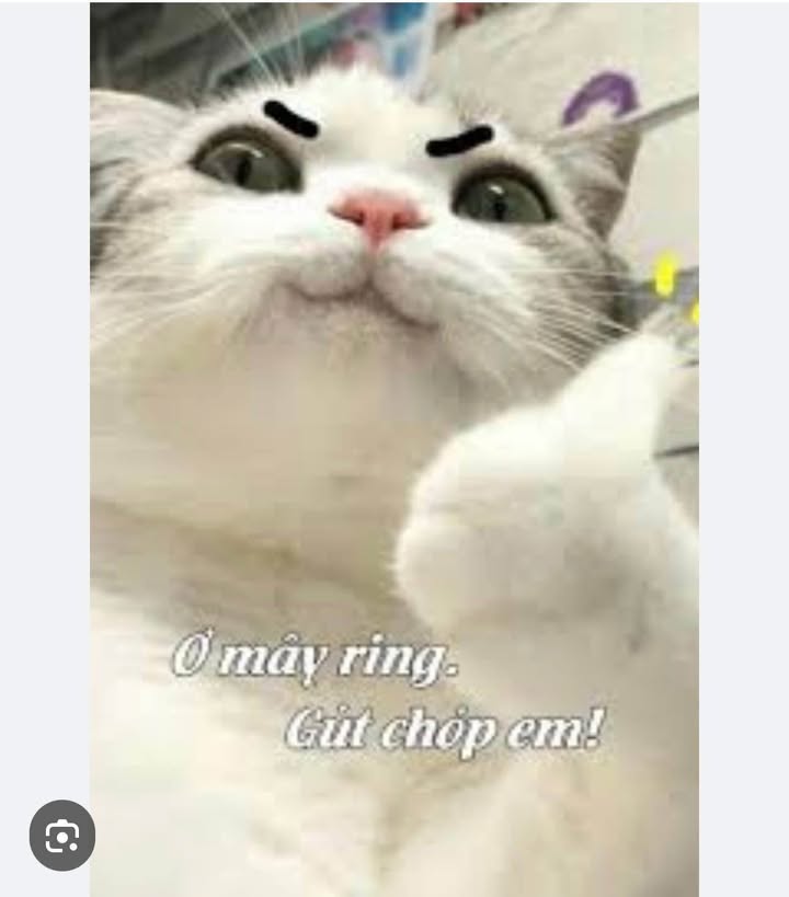 Nhà cấp 4 mặt đường Thiên Lôi, Hải Phòng 50m² giá 6.4 tỷ - Đầu tư sinh lời ngay!