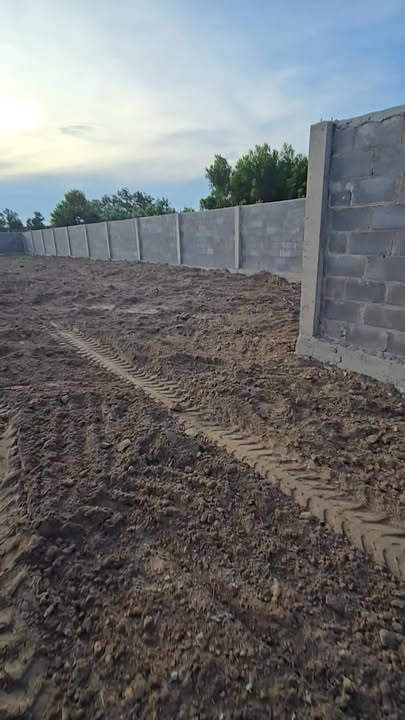 Đất vườn mặt tiền đường nhựa 746.5m² tại Long Điền - Giá chỉ 2.5 tỷ!